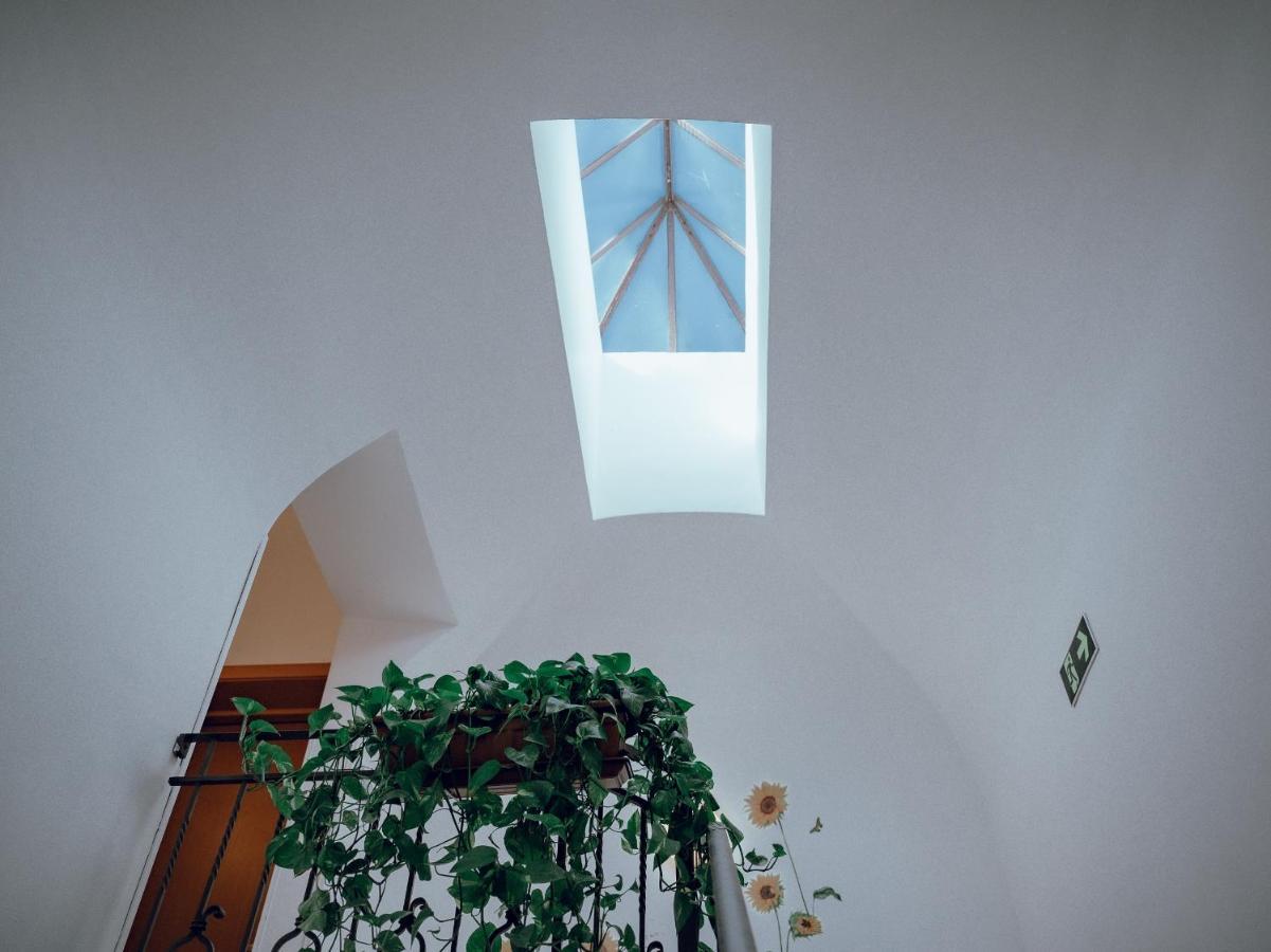 Hotel Francesco Pise